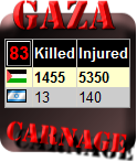 Gaza Carnage Counter